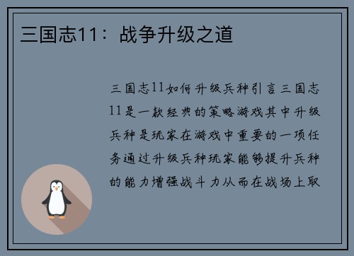 三国志11：战争升级之道